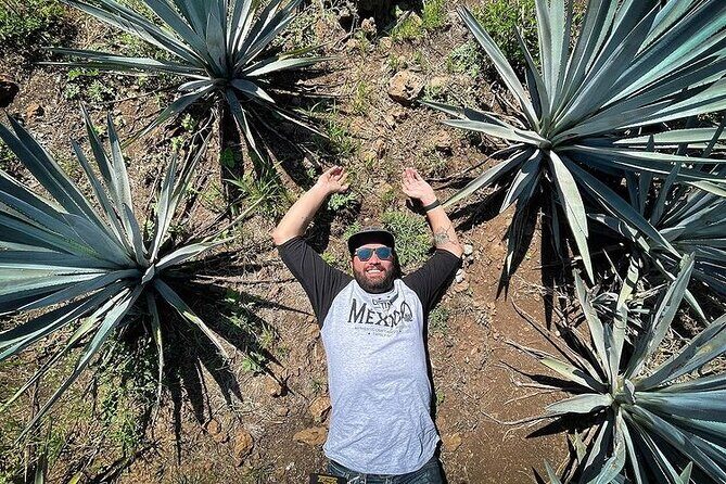 Private One Day Adventure Tour in Tequila and La Fortaleza Distillery - Exploring the Itinerary: What Youll Experience