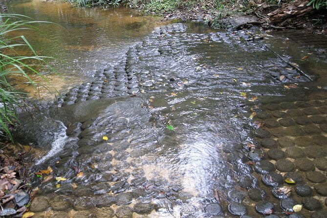 Private One Day Exploration at Thousands of Linga, Kbal Spean and Lady Temple - Practical Details and What to Expect