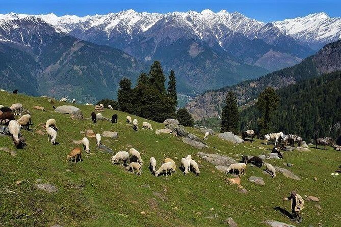 Private One Day Hiking Trip in Manali, Scenic Mountain Trail in Manali - Overall Value and Practical Tips