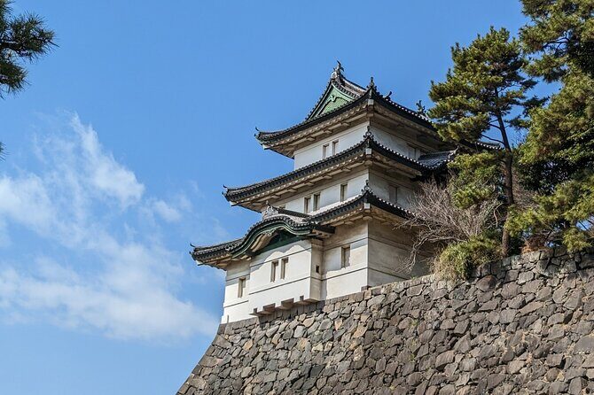 Private One Day Tour in Tokyo with Limousine and Driver - FAQ