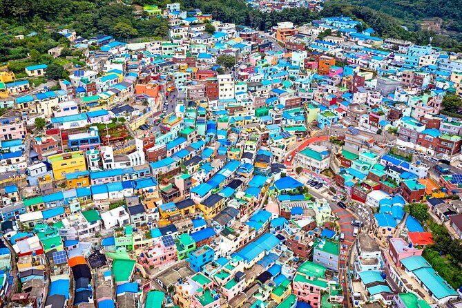 Private One Day Tour of Busan - Exploring Busan with a Private One Day Tour: An Honest Look
