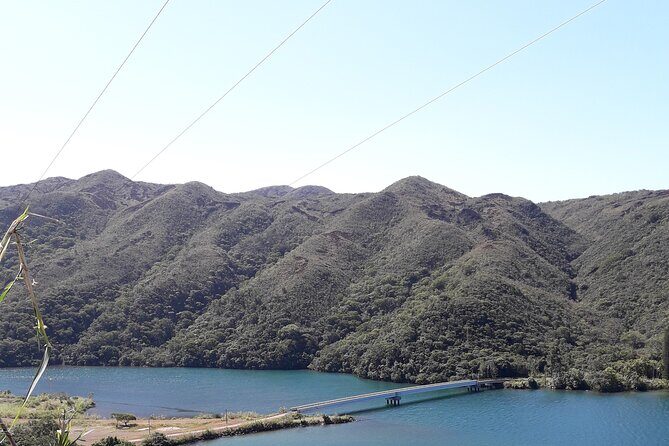 Private One Day Tour through The Deep South - Practical Details and Value