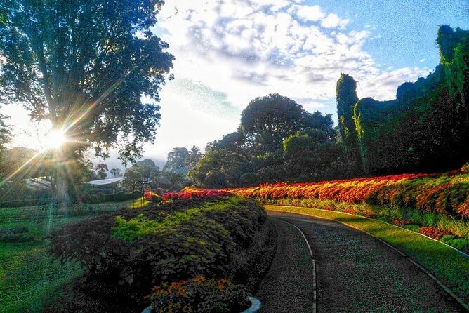 Private one-day tour to Kandy from Colombo or Negombo - Who Is This Tour Best For?