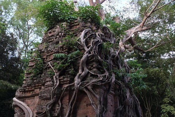 Private One Day Tour to Sambor Prei Kuk Group ( World Heritage Site ) - Exploring Cambodia’s Ancient and Contemporary Heart: A Review of the Private One Day Tour to Sambor Prei Kuk and Kompong Khleang