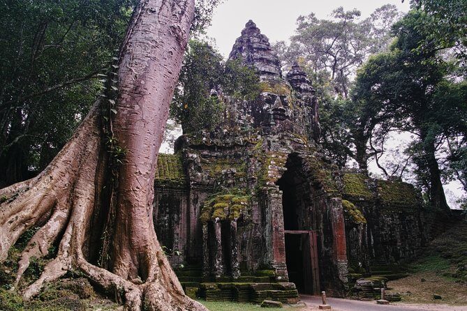 Private One Day Trip-The Best Experience in Siem Reap - Exploring the Detailed Itinerary