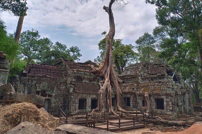 Private One Day Trip to Explore Angkor Temples - Stop 6: Terrace of the Leper King