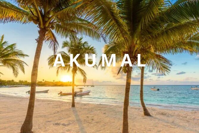 Private one-way airport transfer from Cancun - Akumal. - Key Points