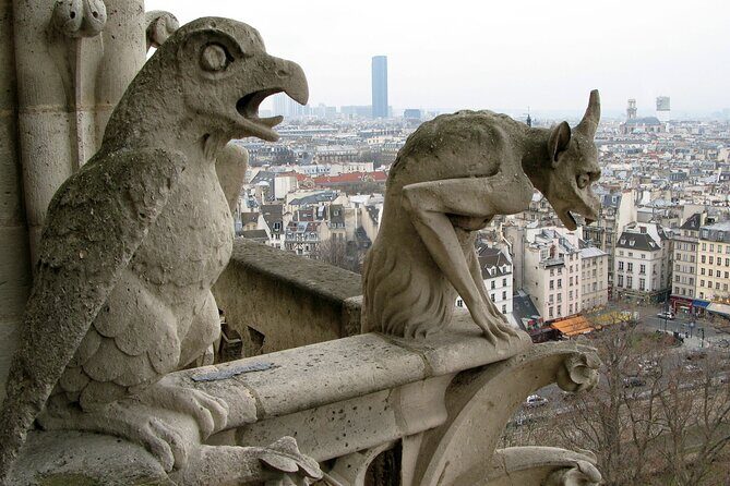 Private One-Way Transfer: City of Paris - Who Is This Transfer Best For?