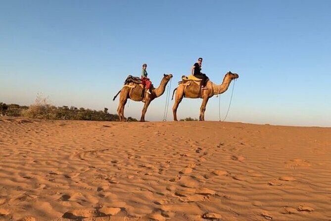 Private One Way Transfer From Jaisalmer Hotel To Jaisalmer Airport - Final Thoughts