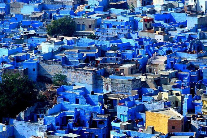 Private One Way Transfer From Pushkar To Jodhpur In AC Vehicle - Final Thoughts: Who Should Book This?