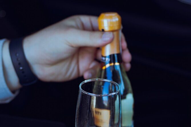 Private One Way Transfer in Sofia - Final Thoughts