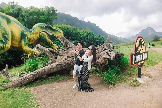 Private One way Transfer Waikiki Hotel and Kualoa Ranch - Who Should Consider This Service?