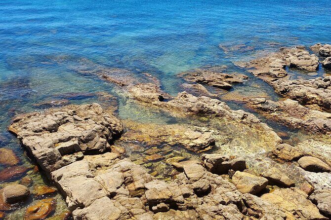 Private Open Top Coastal Tour with Coffee Included - Key Points