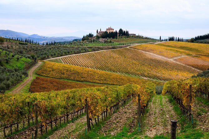 Private Orvieto and Tuscany Wine Tour from Rome - Final Thoughts