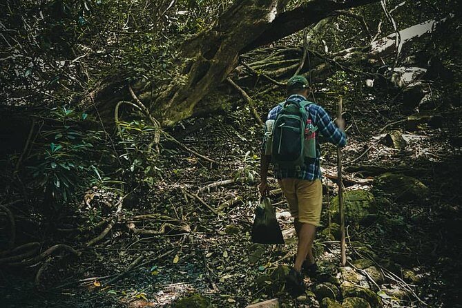 Private Overnight Adventure Tour to Knuckles and Meemure Village with Camping - Possible Considerations
