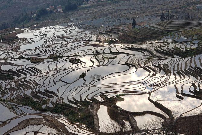 Private Overnight Tour to Yuanyang Rice Terraces from Kunming - Key Points