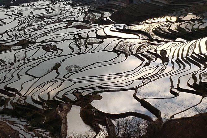 Private Overnight Tour to Yuanyang Rice Terraces from Kunming - The Second Day: Sunrise and More Terrace Views