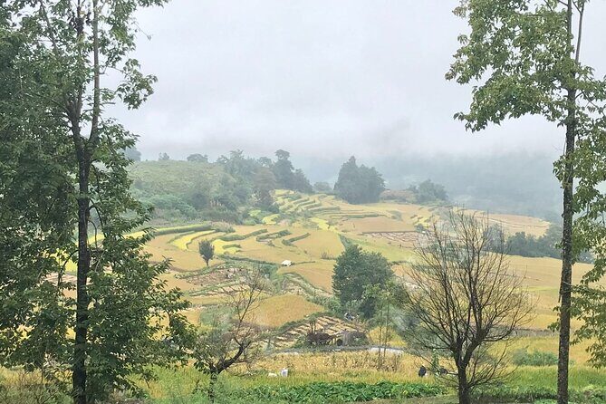 Private Overnight Tour to Yuanyang Rice Terraces from Kunming - Why This Tour Could Be Perfect for You