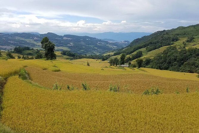 Private Overnight Tour to Yuanyang Rice Terraces from Kunming - The Sum Up