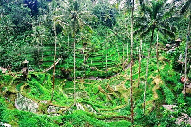 Private Package Multi Tours 4 Days-Lempuyang The Gate Of Heaven - Why This Tour Offers Real Value