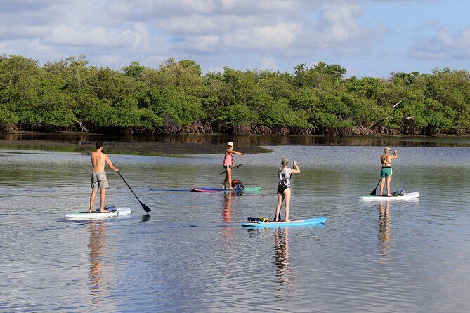 Private PADDLE-BOARD and YACHT Adventure - Who Is This Tour Best For?