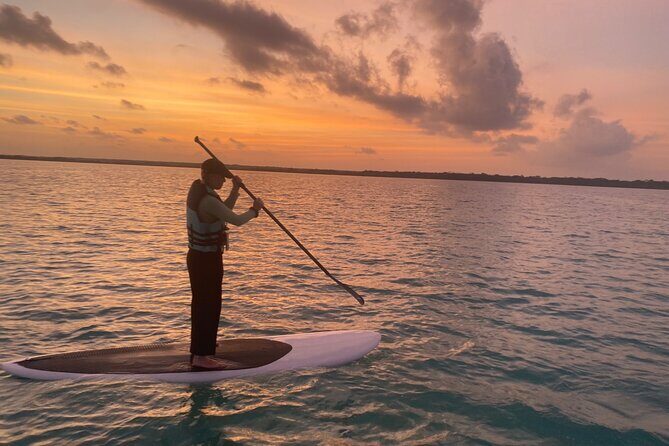 Private Paddleboard Experience in Bacalar - What to Expect on the Tour