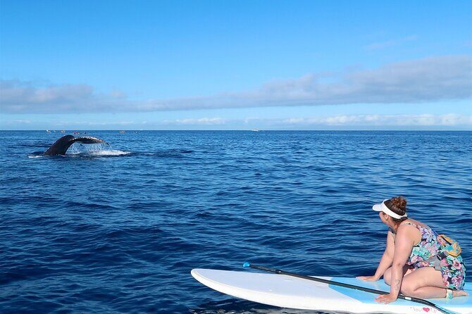 Private Paddleboard (SUP) Whale Watch: All Skill Levels Welcome - FAQ