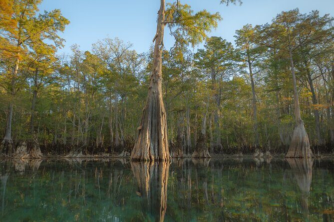 Private Panama City Beach Photo Excursion - What Sets This Tour Apart