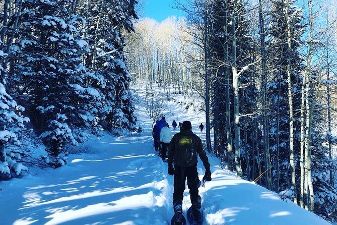 Private Park City Snowshoe Excursions (9:30am/12:30pm start time) - Authentic Experiences & Real-World Insights