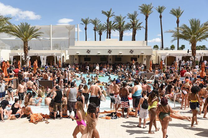 Private Party Bus Dayclub Crawl - An In-Depth Look at the Private Party Bus Dayclub Crawl