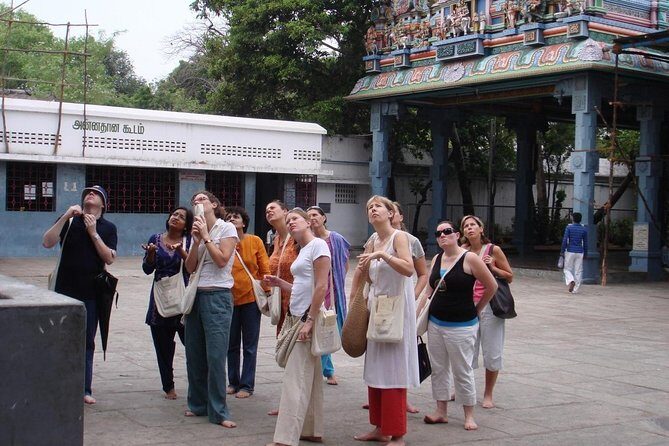 Private Peacock Trail Walking Tour in Mylapore - The Itinerary — A Step-by-Step Walkthrough