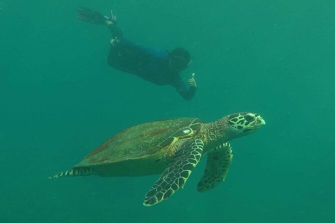 Private Phi Phi & 4 Islands Sunset Cruise by Speedboat - from Krabi - FAQs