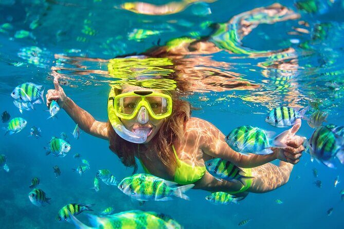 Private Phi Phi and Bamboo Islands Snorkeling Tour by Speedboat - Final Words