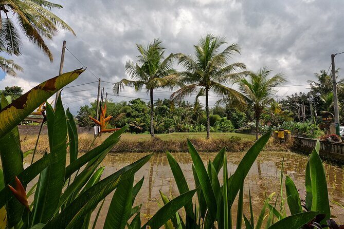 Private Photo and Video Session in Bali - FAQ