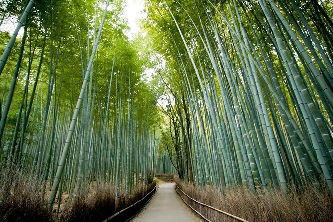 Private photo shoot & walk in Kyoto - Professional photo shoot - Key Points