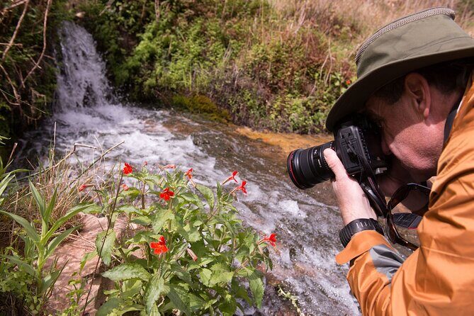Private Photo Workshop and Sightseeing in Wasatch Mountains - Exploring the Private Photo Workshop and Sightseeing in Wasatch Mountains