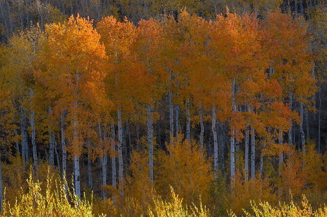 Private Photo Workshop and Sightseeing in Wasatch Mountains - The Sum Up