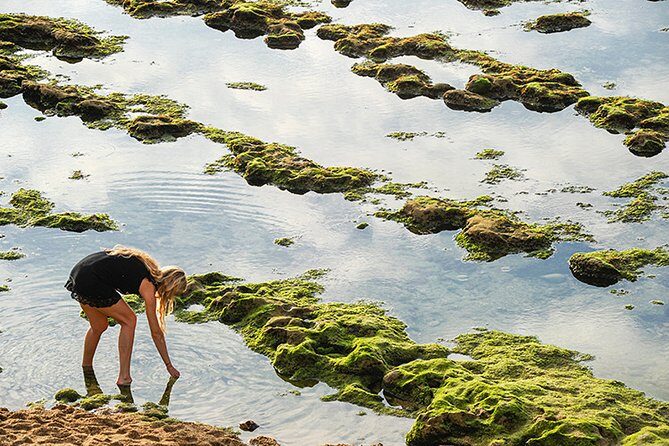 Private Photographic Walk in Biarritz - Pricing and Value