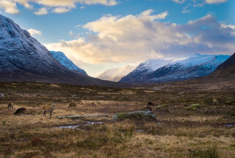 Private Photography Tour in Edinburgh - An Insider Look at Edinburgh’s Best Photography Experience