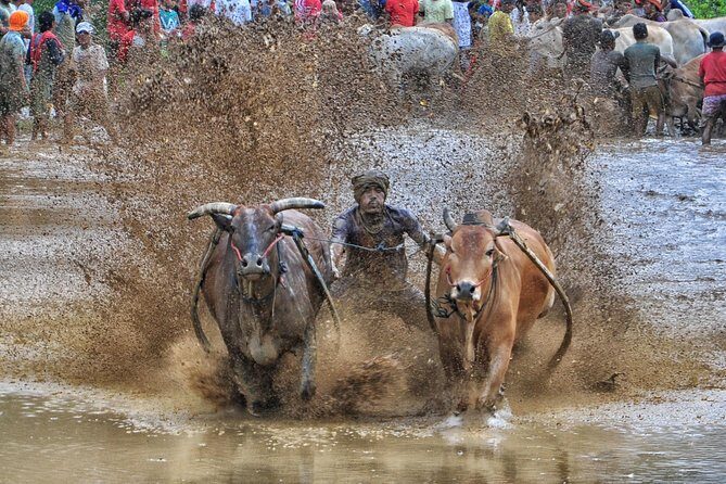 Private Photography Trip 3 Days 2 Nights With Accommodation - The Real Value of This Tour