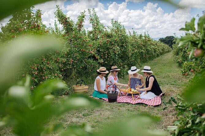 Private Picnic Lunch Experience in Orange with Wine - Key Points