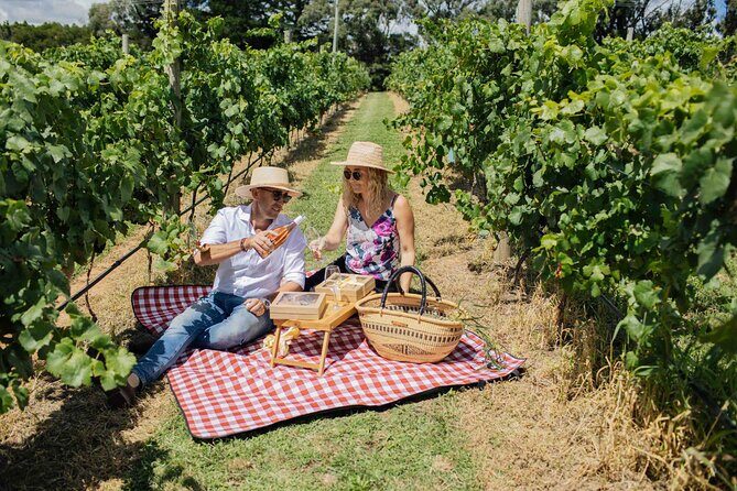 Private Picnic Lunch Experience in Orange with Wine - The Sum Up: Who Should Consider This Experience?