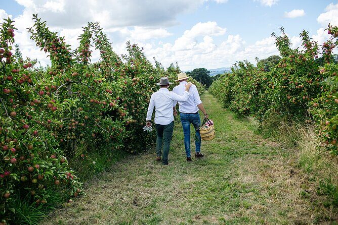 Private Picnic Lunch Experience in Orange with Wine - FAQ: Common Questions about the Private Picnic Experience