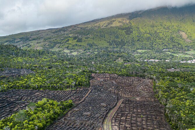 Private Pico Wine Tour (Half Day) - Frequently Asked Questions