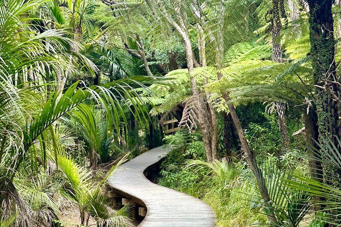 Private Piha Beach, Rainforest Adventure & Mt. Eden with Guide - A Closer Look at the Experience
