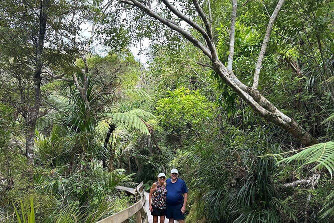 Private Piha Beach, Rainforest Adventure & Mt. Eden with Guide - Who Should Consider This Tour?