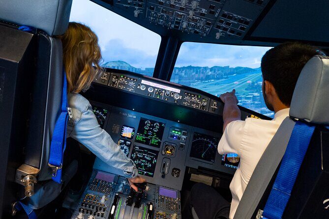 Private Pilotage of a Flight Simulator in Paris - The Sum Up