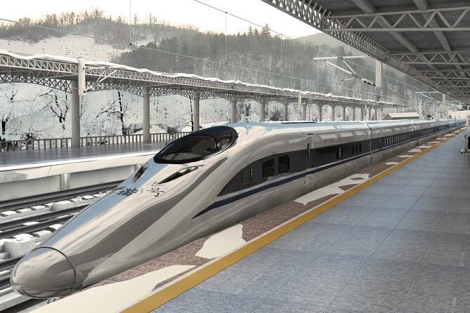 Private Pingyao Bullet Train Trip to Xi'an: Terracotta Warriors and City Wall - Detailed Breakdown of What You’ll Experience