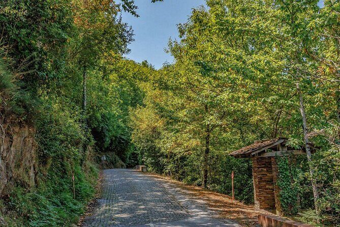 Private Piódão and Serra do Açor Van Tour - FAQ