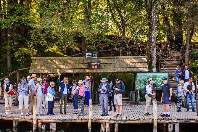 Private Plitvice Lakes - a Day In Magicland From Split - A Deep Dive into the Plitvice Lakes Tour Experience